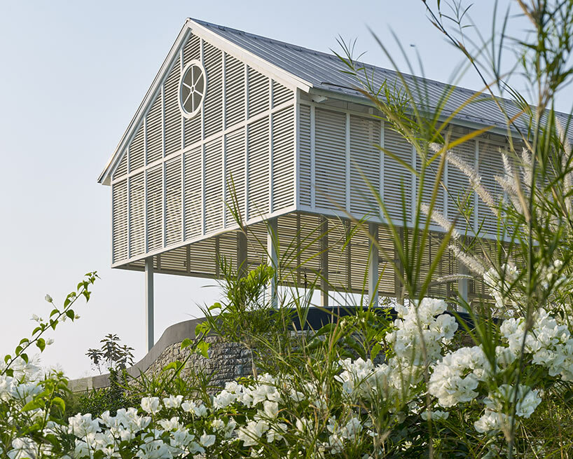 architecture brio ray