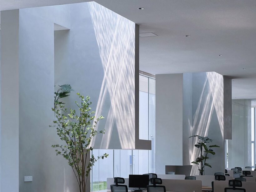 workspace bathed in diffused lighting