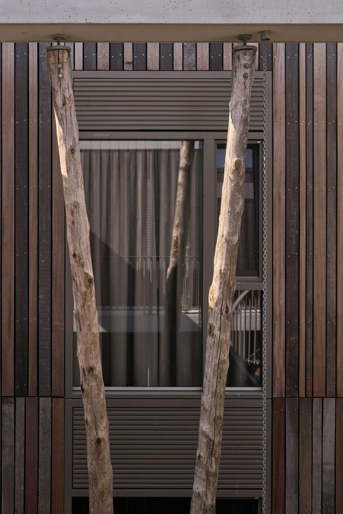 load-bearing tree trunk columns and reused Azobe wood compose the main frame