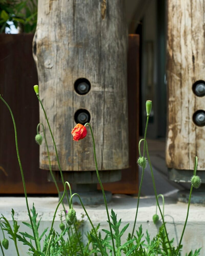 detail of a tree trunk column