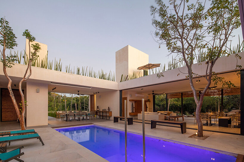 image © Diego Reyes