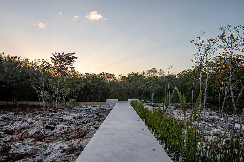 image © Onnis Luque