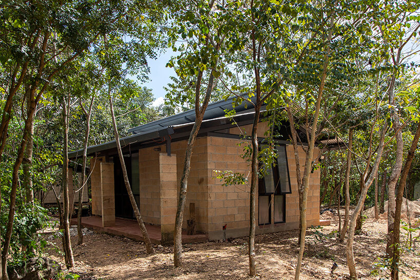 image © Onnis Luque