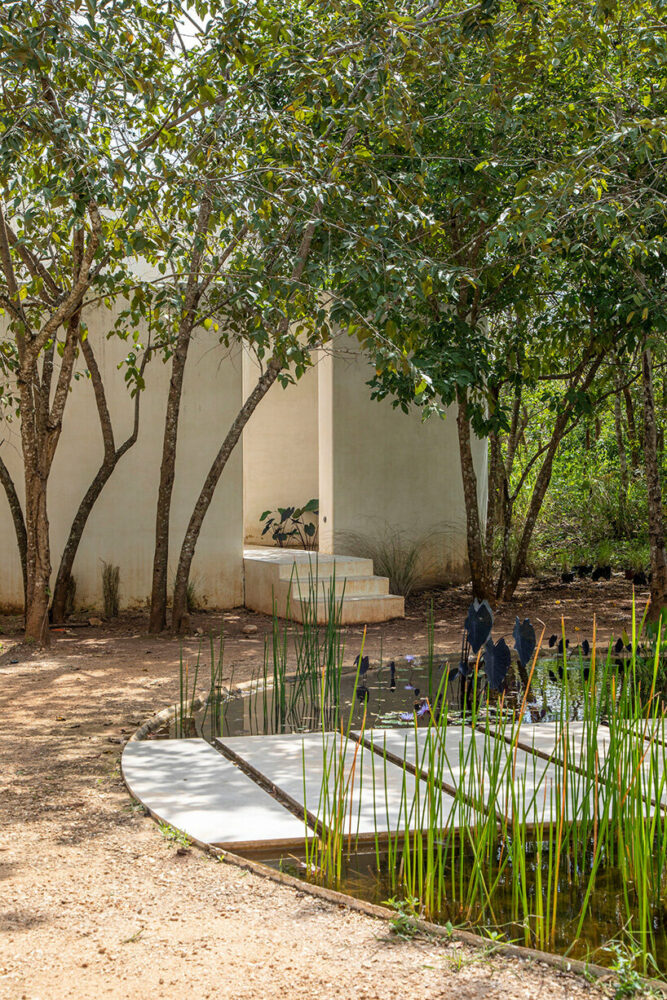 image © Onnis Luque