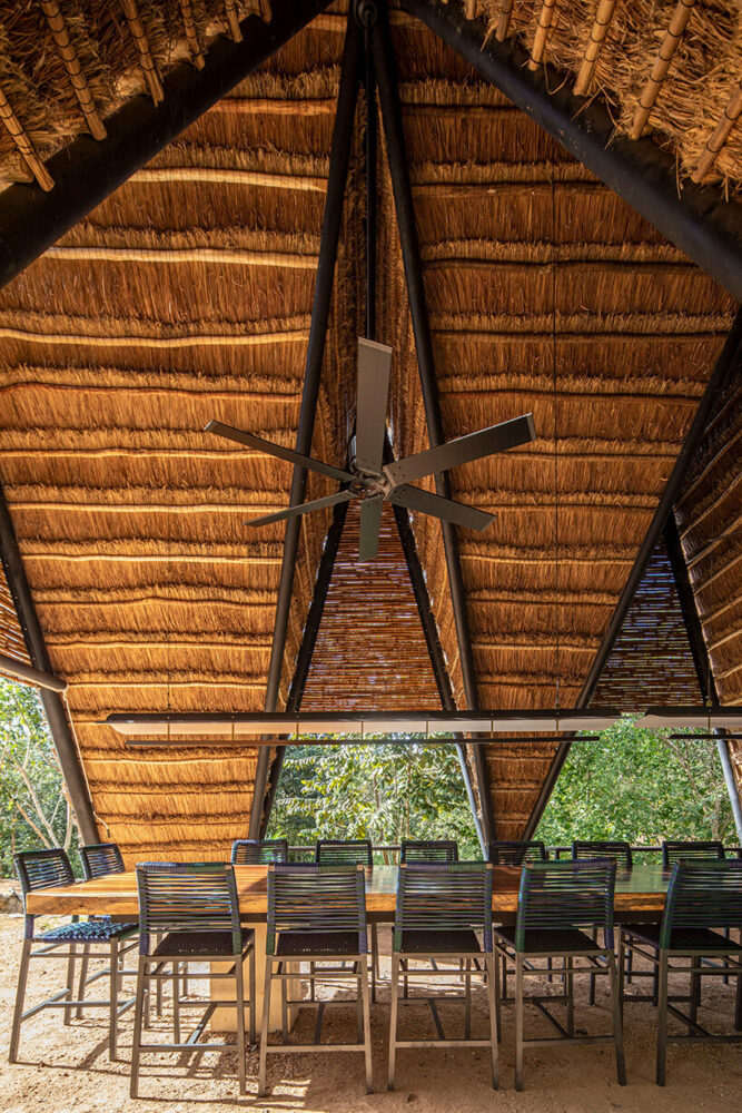 image © Onnis Luque