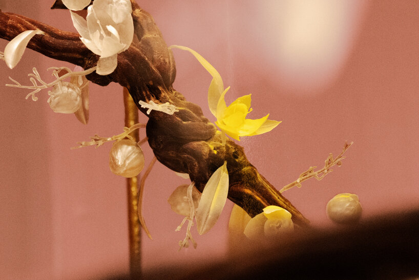 maison perrier-jouët fernando laposse design miami