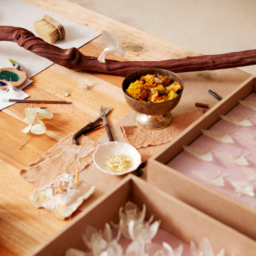 maison perrier-jouët fernando laposse floral