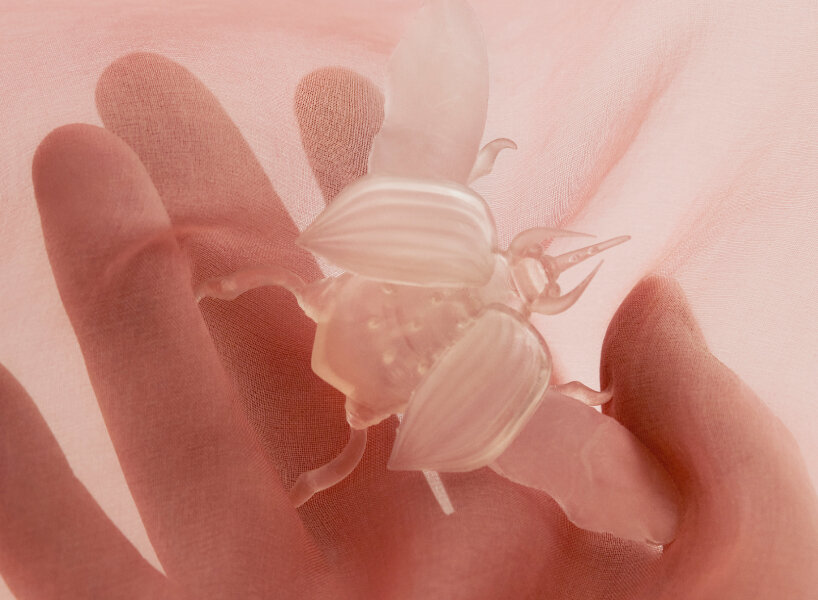 maison perrier-jouët fernando laposse floral