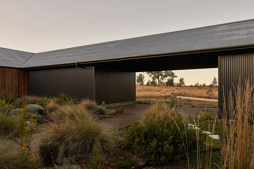 house in the dry: MRTN architects' garden oasis in arid grasslands of australia - 1