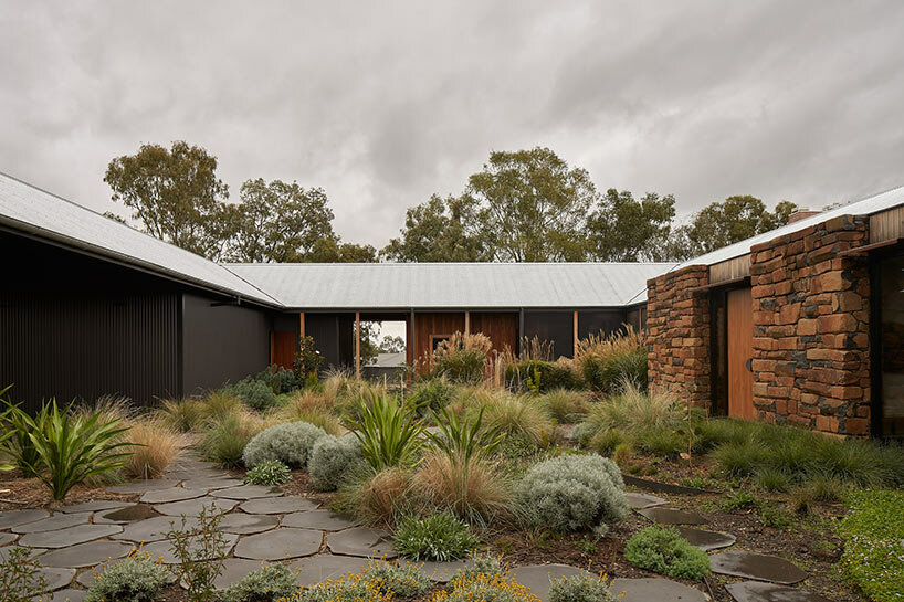 house in the dry: MRTN architects' garden oasis in arid grasslands of australia - 2