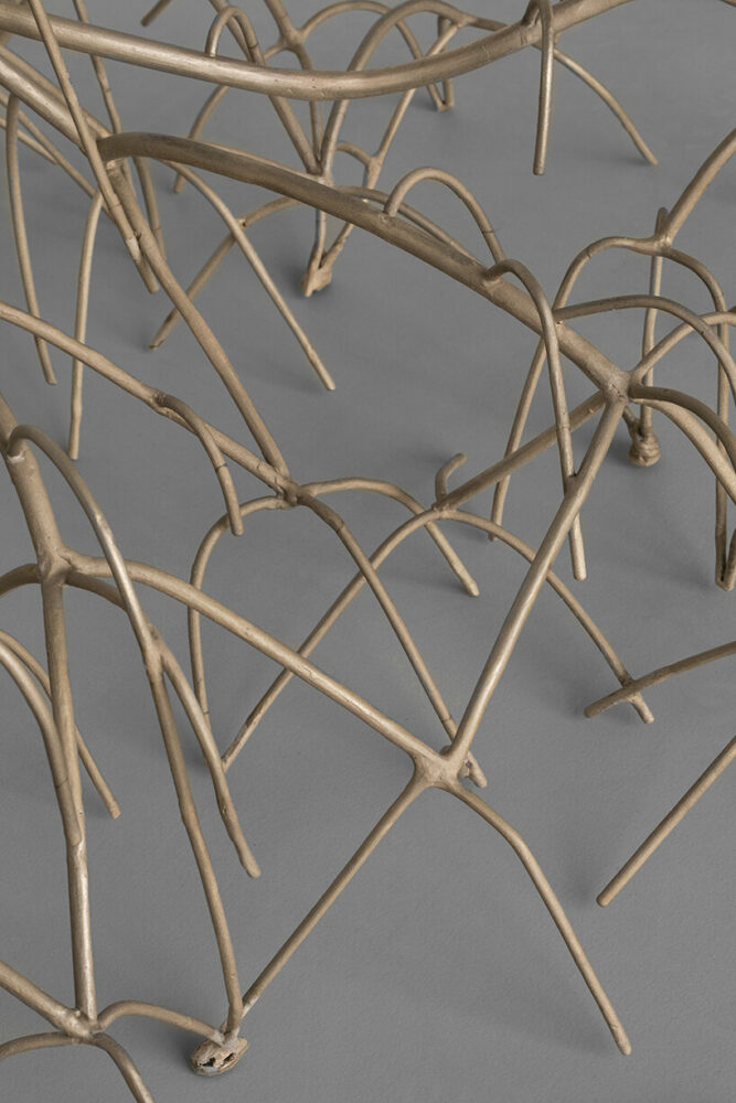 image © Benjamin Baltus