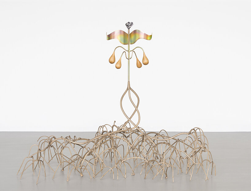 Spurge Dances (2023) | image © Benjamin Baltus