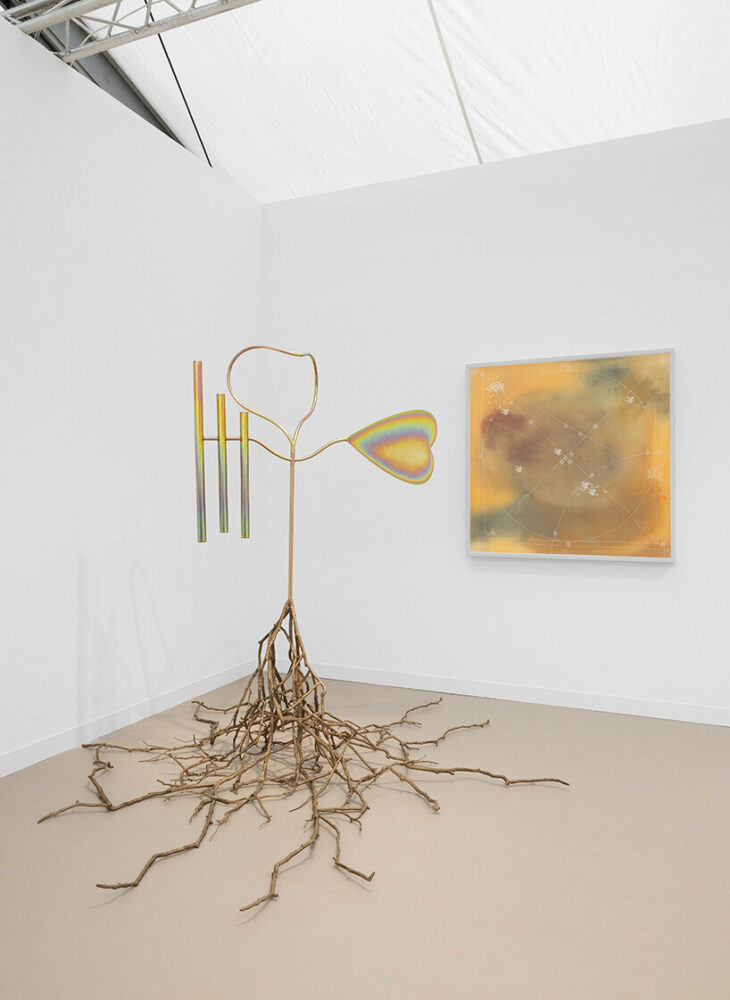 image © Andrea Rossetti