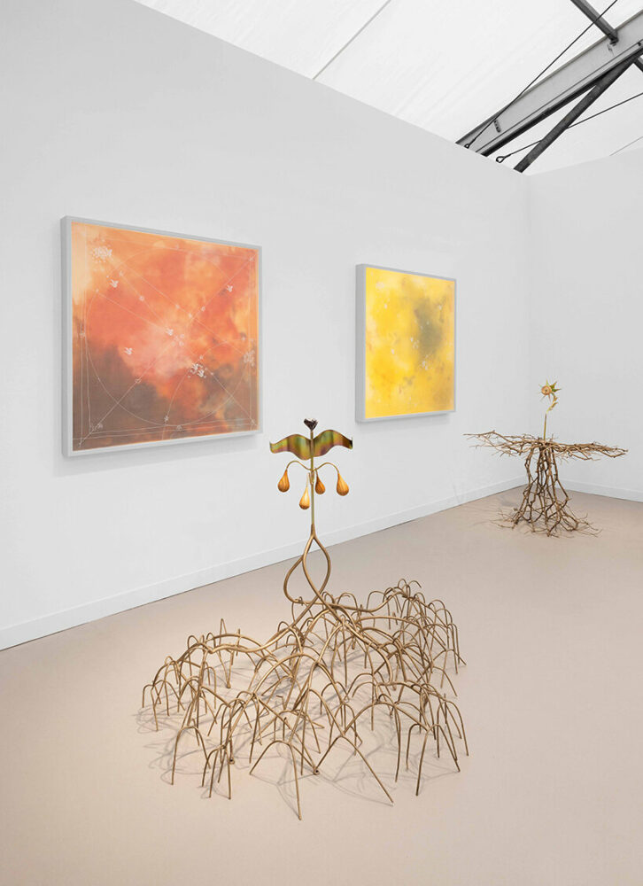 image © Andrea Rossetti