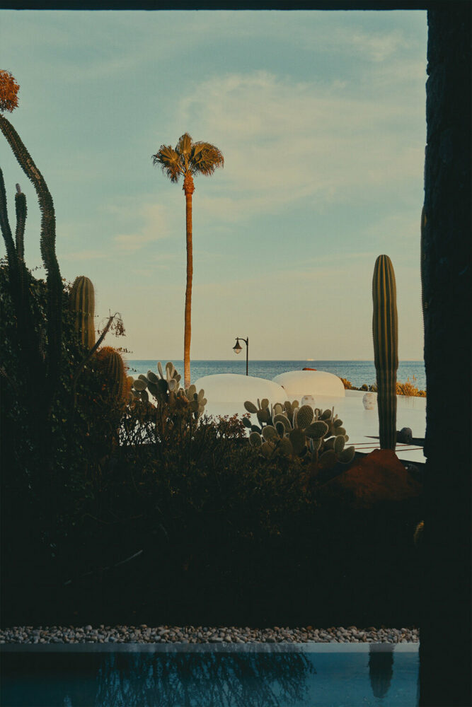 the scattered greenery set against the soft white architecture 