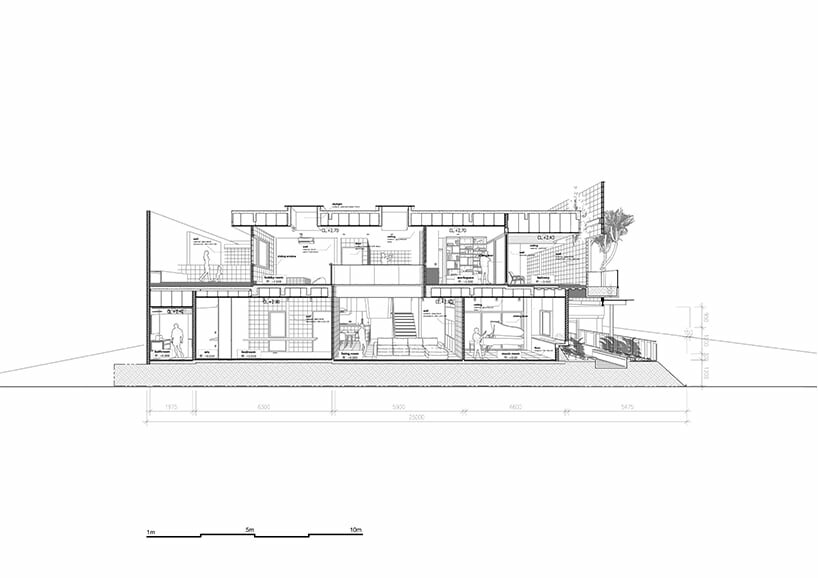 longitudinal section