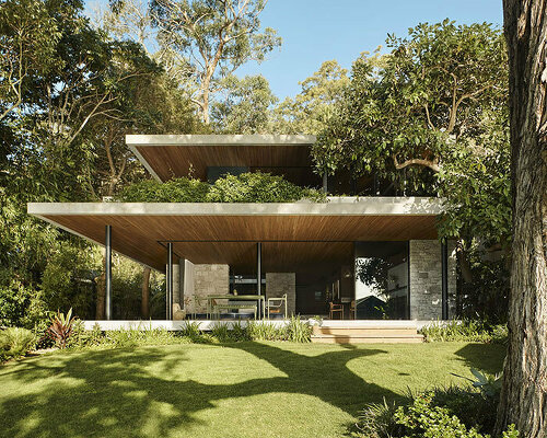 gardened roof planes float above rama architects' M house in australia