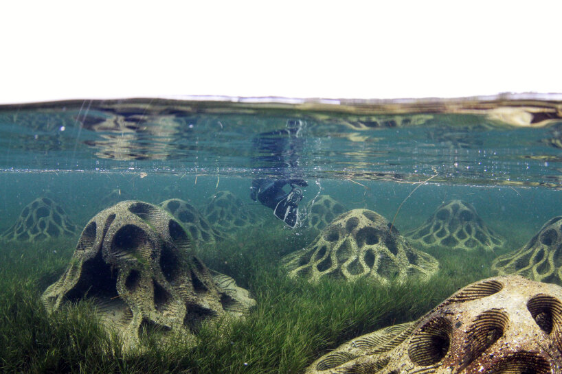 reef design lab erosion concrete