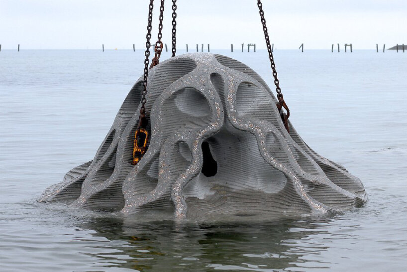 reef design lab erosion concrete