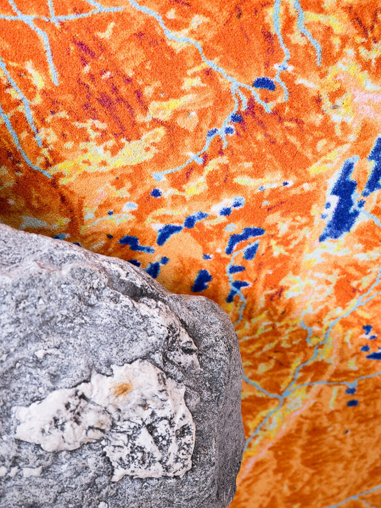 image by Gaudenz Danuser