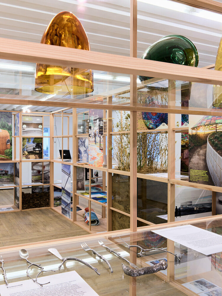 image by Gaudenz Danuser