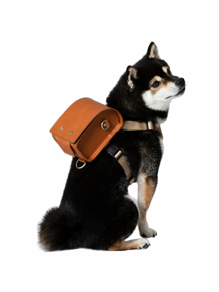 tsuchiya kaban leather backpack dogs