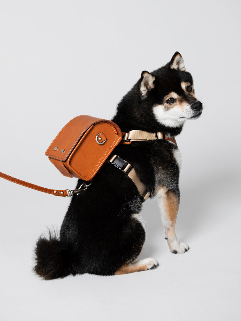 tsuchiya kaban leather backpack dogs