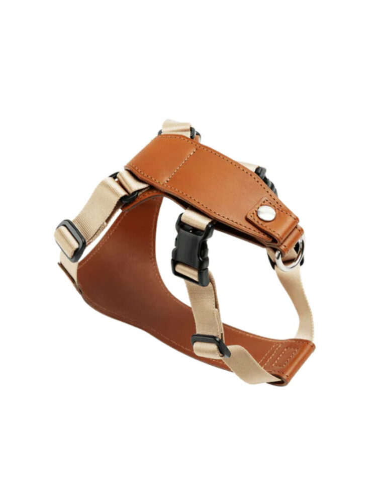 tsuchiya kaban leather backpack dogs