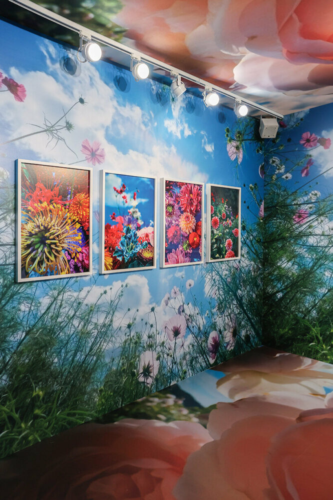 I Remember You: Photography Exhibition — Mika Ninagawa | image by BFA | Pierrick Rocher