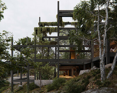 perched above valdosende's treetops, this eco resort brings nature indoors