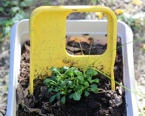 let it grow: compostable iPhone case blooms with basil and flowers when planted after use