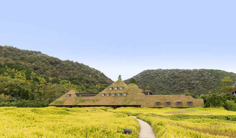michele de lucchi & terunobu fujimori's grass-veiled la collina echoes its hilly surroundings