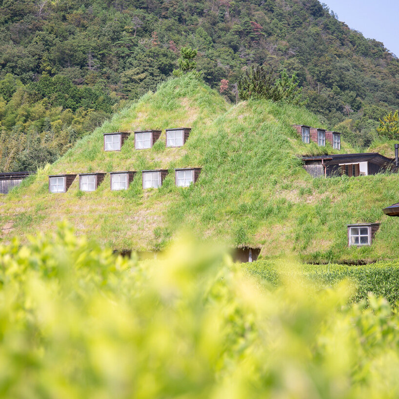 michele de lucchi & terunobu fujimori's grass-veiled la collina echoes its hilly surroundings
