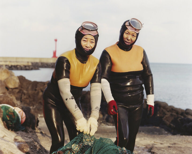 the last mermaid by peter ash lee is a tribute to jeju's fearless