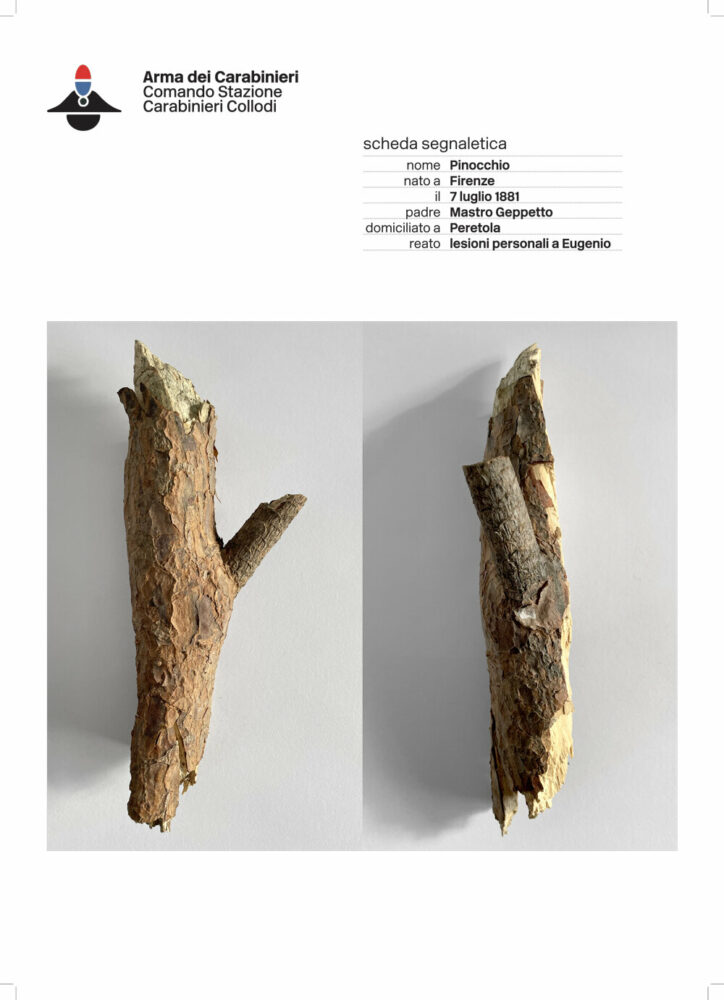 Quello che non raccontano le storie (Scheda segnaletica) 2023 by Leonardo Sonnoli