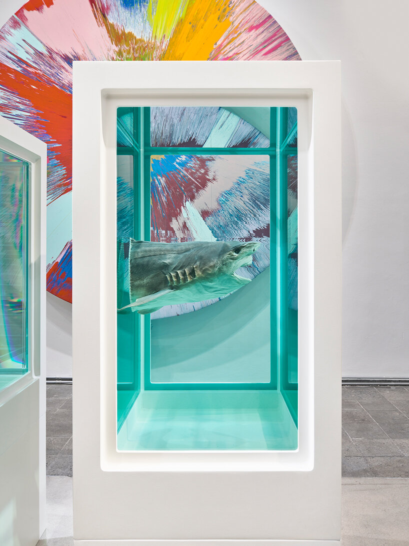 damien hirst's 'the weight of things' explores the interplay of science, life & death at MUCA