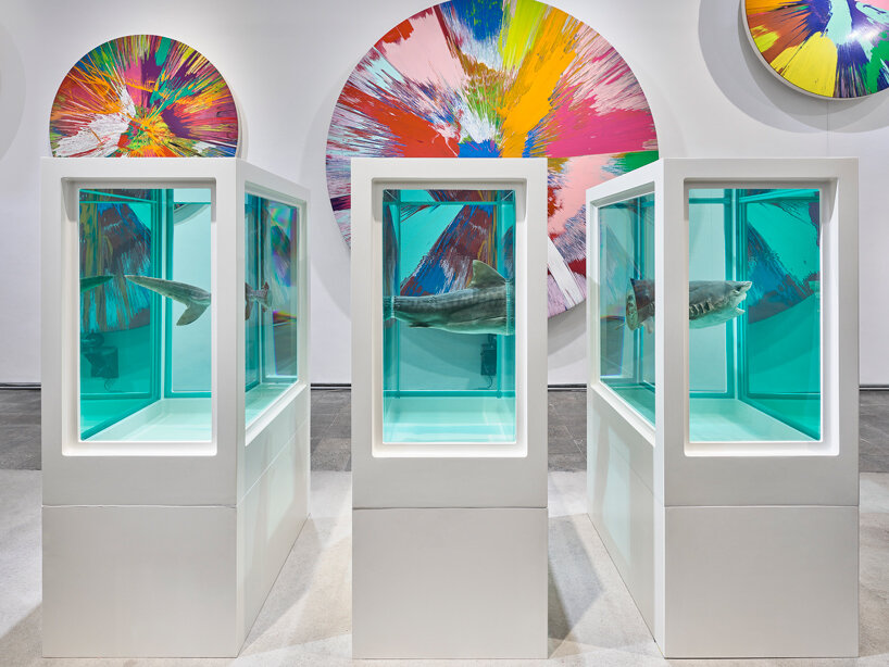 damien hirst's 'the weight of things' explores the interplay of science, life & death at MUCA