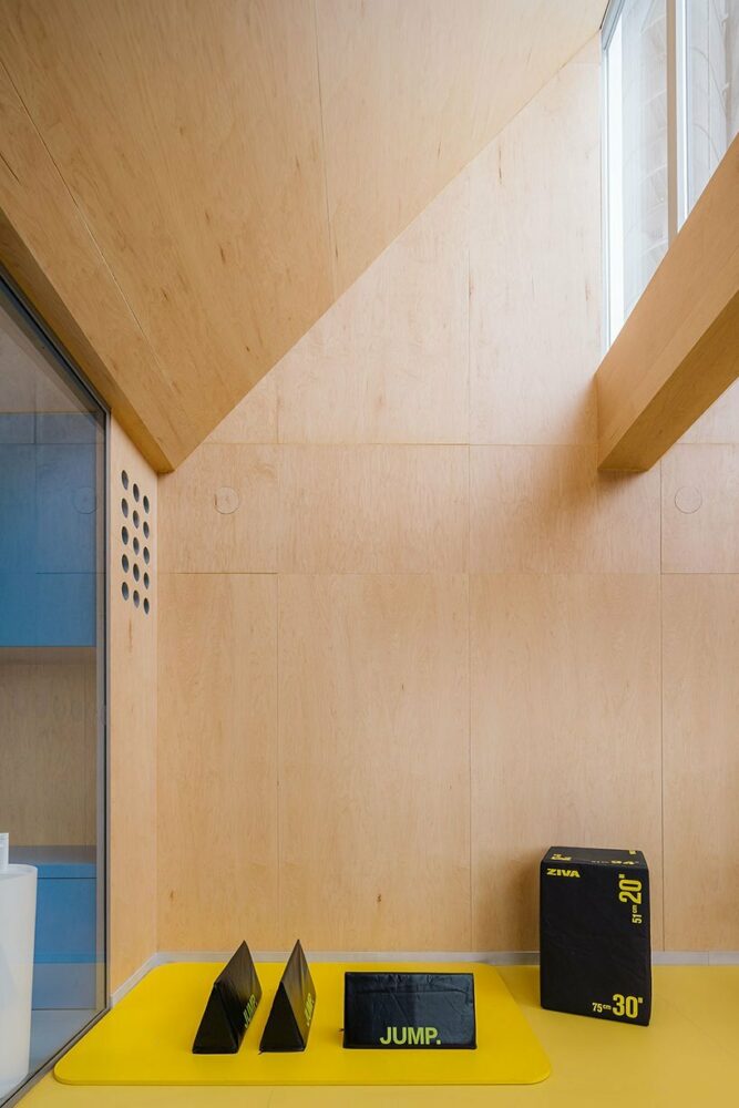 exercise area, illuminated by several skylights, is dedicated to exercise with machinery under professional supervision