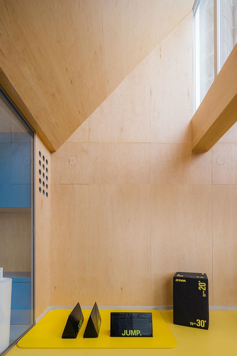 exercise area, illuminated by several skylights, is dedicated to exercise with machinery under professional supervision