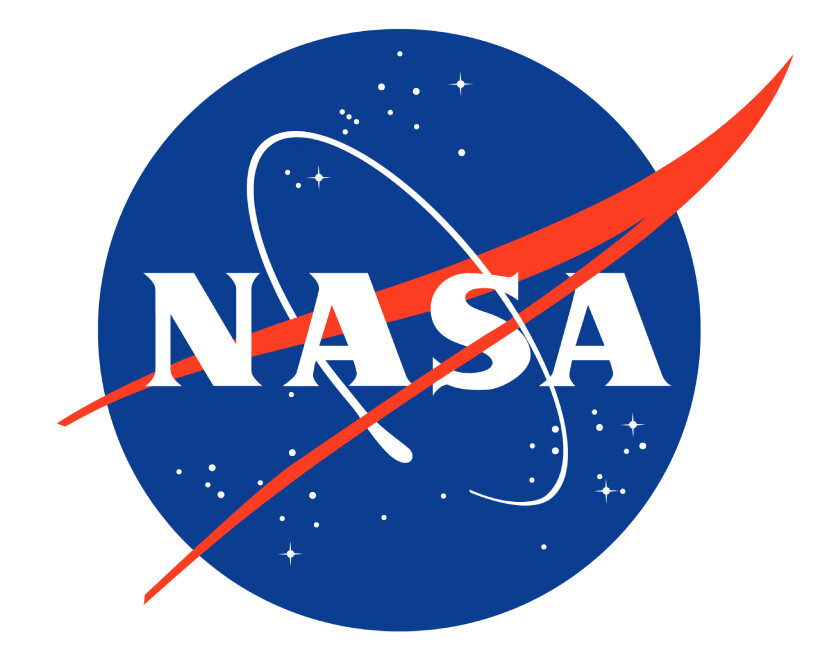 nasa logo meatball worm