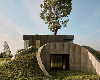 omer arbel crafts lily pad-shaped columns for family home in canada