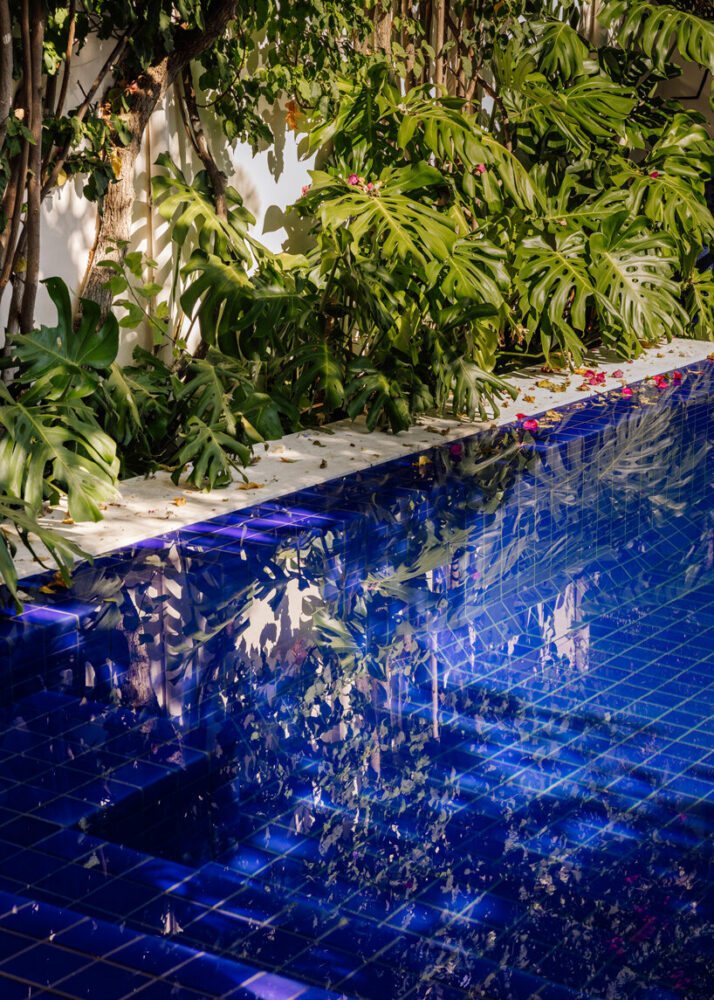 handmade bespoke ceramic tiles from Viúva Lamego