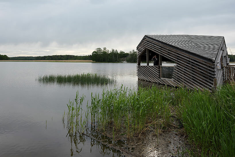 studio puisto floating birdwatching