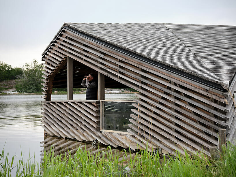 studio puisto floating birdwatching