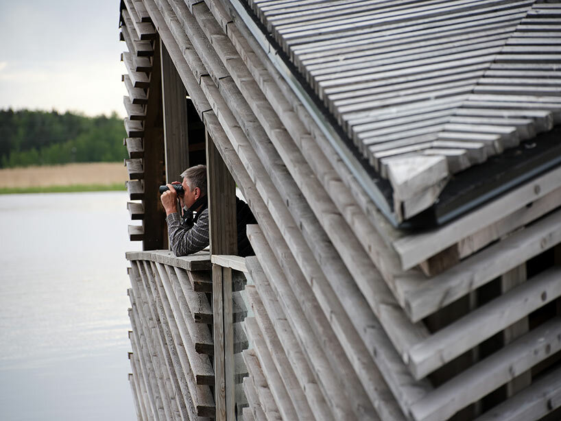 studio puisto floating birdwatching