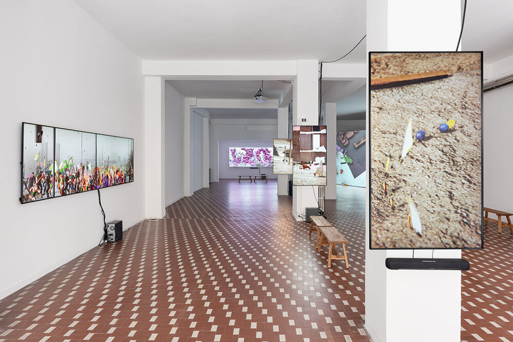 image © Michela Pedranti