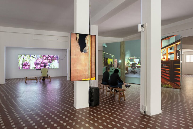 image © Michela Pedranti