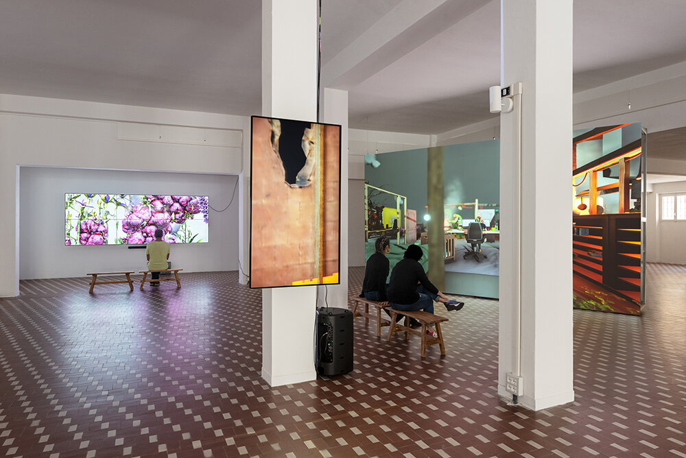 image © Michela Pedranti