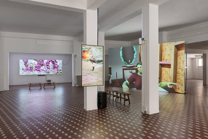 image © Michela Pedranti