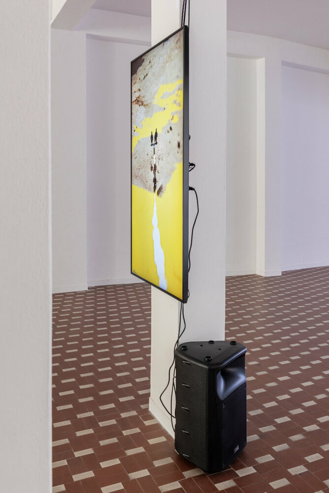 image © Michela Pedranti